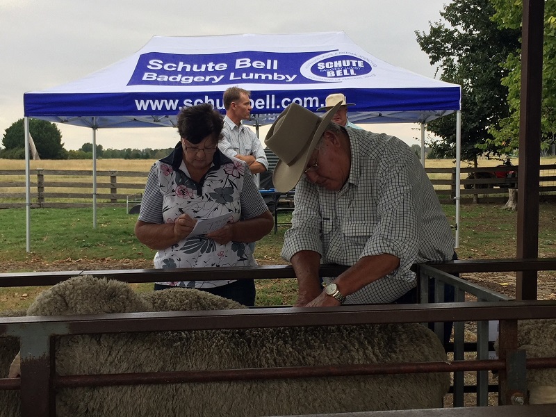 couple at farm fair infront of a custom marquee